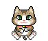 cat 2